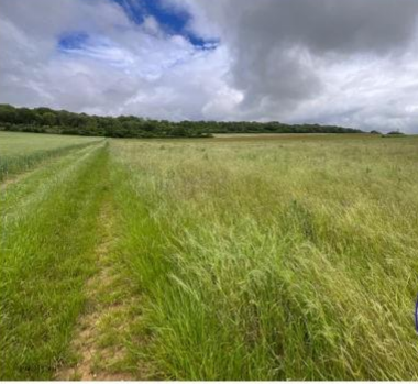 ECOUVIEZ, Terre agricole 73 450m²