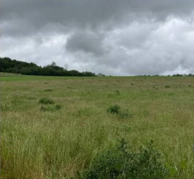 ECOUVIEZ, Terre agricole 73 450m²