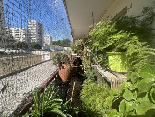 MARSEILLE 7EME, Studio 45m², Balcon