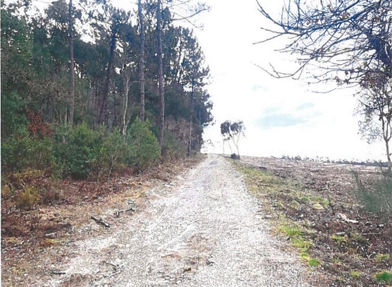 LIT ET MIXE, Terrain 10 000m²