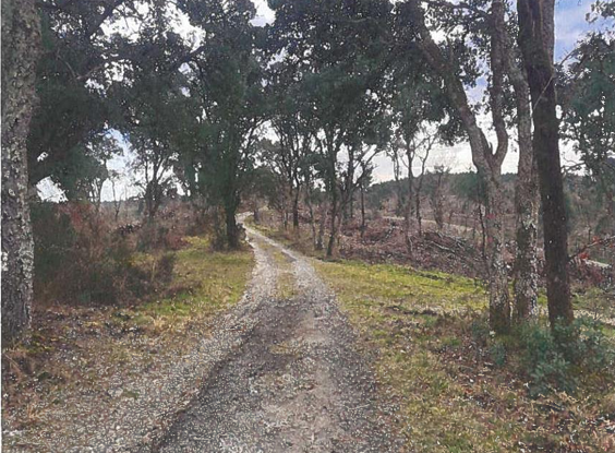 LIT ET MIXE, Terrain 10 000m²
