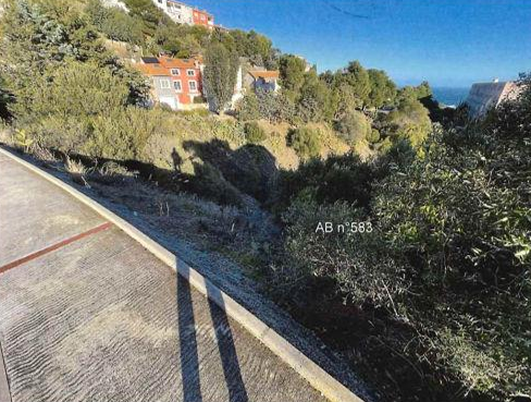 CERBERE, Terrain à bâtir 414m²