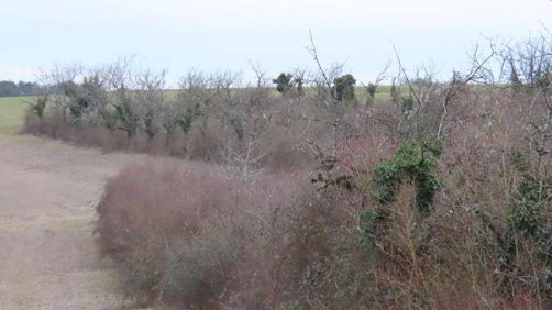 TALANT, Terrain agricole 15 986m²
