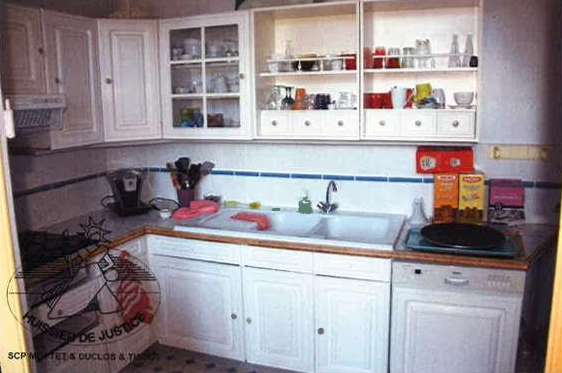 VIRY, Château T13 1150m², Jardin
