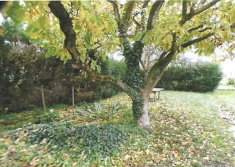 VIRY NOUREUIL, Maison T4 95m², Terrain