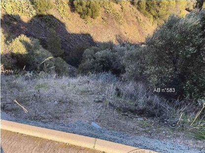 CERBERE, Terrain à bâtir 414m²