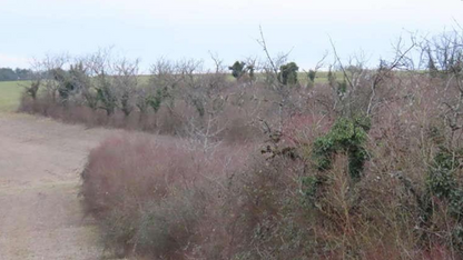 TALANT, Terrain agricole 15 986m²
