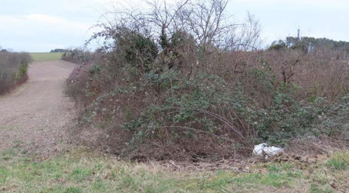 TALANT, Terrain agricole 15 986m²