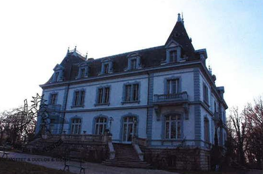 VIRY, Château T13 1150m², Jardin