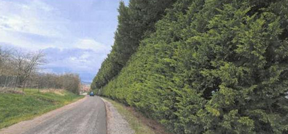 VIGNEULLES, Terrain 53 424m²