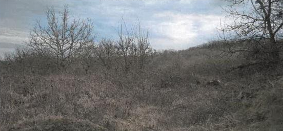 VIGNEULLES, Terrain 53 424m²