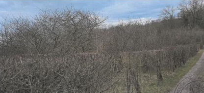 VIGNEULLES, Terrain 42 784m²