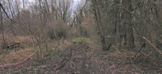 VIGNEULLES, Terrain 42 784m²