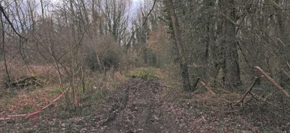 VIGNEULLES, Terrain 42 784m²