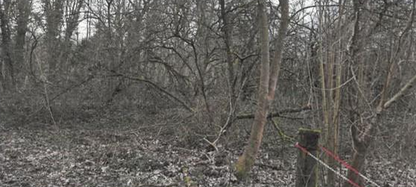 VIGNEULLES, Terrain 42 784m²